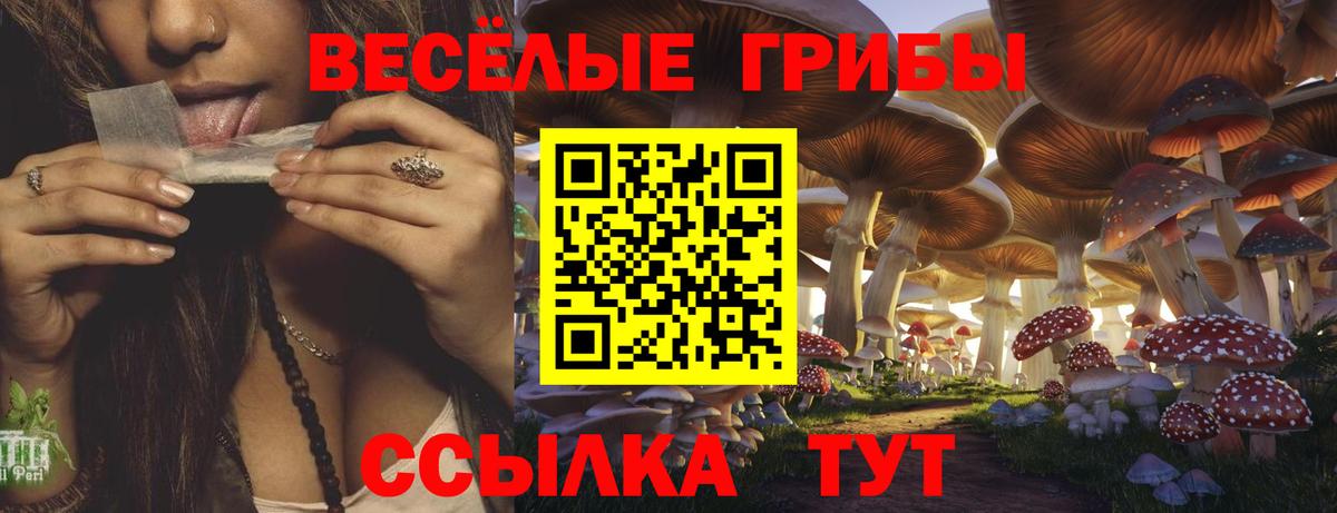 дарнет шоп  Псилоцибиновые грибы Magic Shrooms  Тихорецк  Вход с VPN  Псилоцибиновые грибы Cubensis 